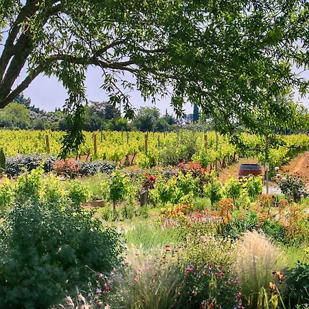 Bed & Breakfast O'vineyards Carcassonne 5*