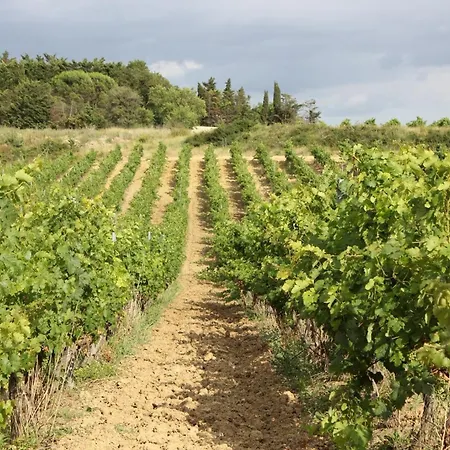 O'vineyards Carcassonne