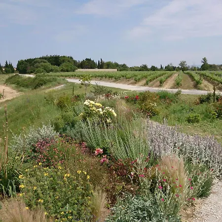 O'vineyards Carcassonne Bed & Breakfast