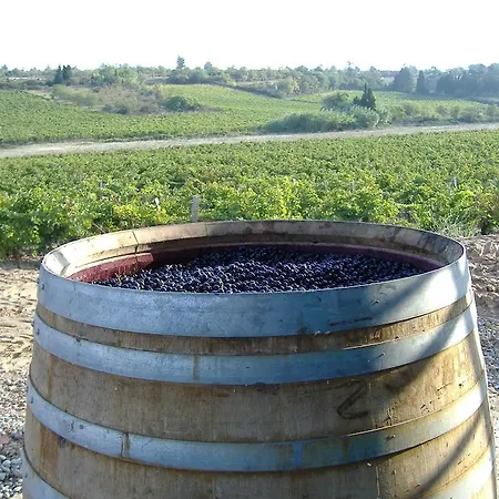 O'vineyards Carcassonne Bed & Breakfast 5*
