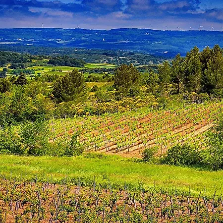 Bed & Breakfast O'vineyards Carcassonne
