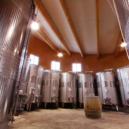 Bed & Breakfast O'vineyards Carcassonne