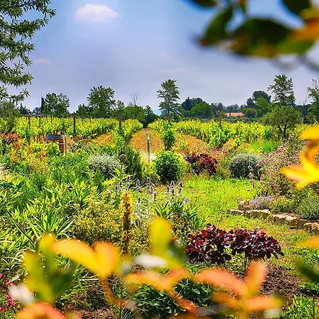 O'vineyards Carcassonne فندق مبيت وإفطار