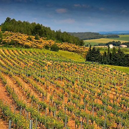 O'vineyards Carcassonne Villemoustaussou