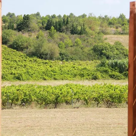 Bed & Breakfast O'vineyards Carcassonne 5*