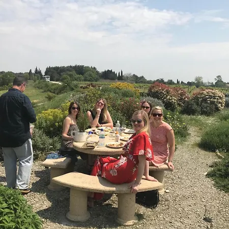 O'vineyards Carcassonne Villemoustaussou